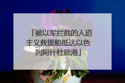 被以军拦截的人道主义救援船抵达以色列阿什杜德港