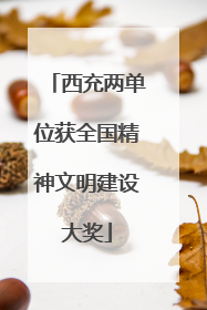 西充两单位获全国精神文明建设大奖