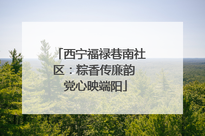 西宁福禄巷南社区：粽香传廉韵 党心映端阳