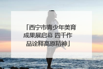 西宁市青少年美育成果展启幕 四千作品诠释高原精神