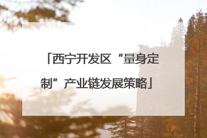 西宁开发区“量身定制”产业链发展策略
