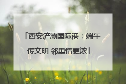 西安浐灞国际港：端午传文明 邻里情更浓