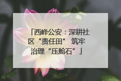 西峰公安：深耕社区“责任田” 筑牢治理“压舱石”