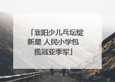襄阳少儿乓坛绽新星 人民小学包揽冠亚季军