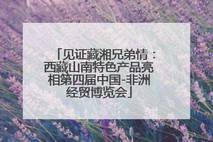 见证藏湘兄弟情：西藏山南特色产品亮相第四届中国-非洲经贸博览会