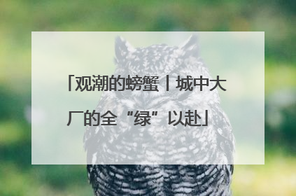 观潮的螃蟹丨城中大厂的全“绿”以赴