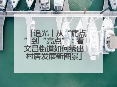 追光丨从“痛点”到“亮点”：看文昌街道如何绣出村居发展新图景