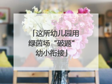 这所幼儿园用绿茵场“破题”幼小衔接