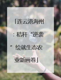 连云港海州：秸秆“逆袭”绘就生态农业新画卷