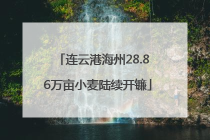 连云港海州28.86万亩小麦陆续开镰