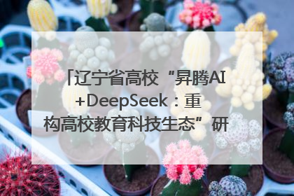 辽宁省高校“昇腾AI+DeepSeek：重构高校教育科技生态”研讨会在沈阳成功举办