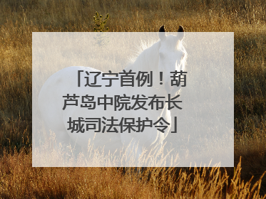 辽宁首例！葫芦岛中院发布长城司法保护令