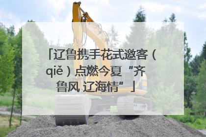 辽鲁携手花式邀客（qiě）点燃今夏“齐鲁风 辽海情”