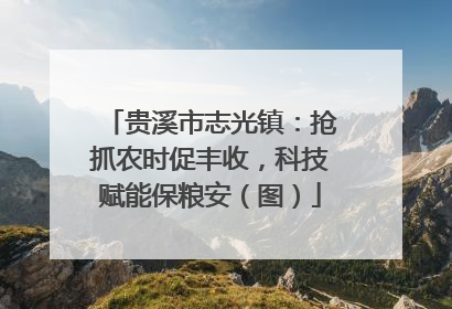 贵溪市志光镇：抢抓农时促丰收，科技赋能保粮安（图）