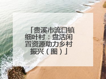 贵溪市流口镇细叶村：盘活闲置资源助力乡村振兴（图）