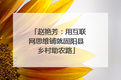 赵艳芳：用互联网思维铺就固阳县乡村助农路