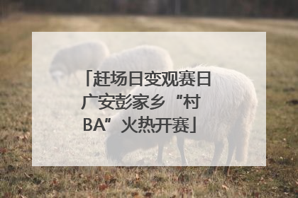 赶场日变观赛日 广安彭家乡“村BA”火热开赛