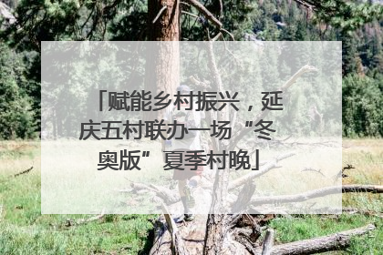 赋能乡村振兴，延庆五村联办一场“冬奥版”夏季村晚
