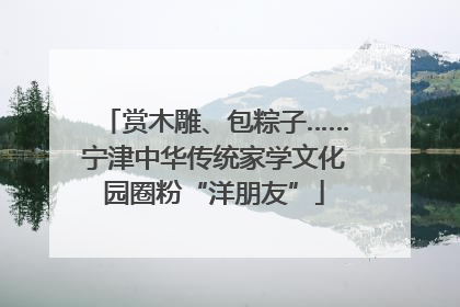 赏木雕、包粽子……宁津中华传统家学文化园圈粉“洋朋友”