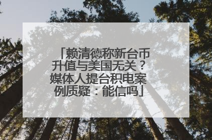 赖清德称新台币升值与美国无关？媒体人提台积电案例质疑：能信吗