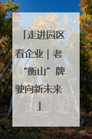 走进园区看企业｜老“衡山”牌驶向新未来