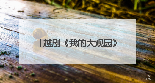 越剧《我的大观园》亮相广西 传统戏曲创新演绎破圈吸睛