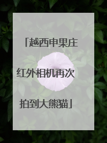 越西申果庄红外相机再次拍到大熊猫