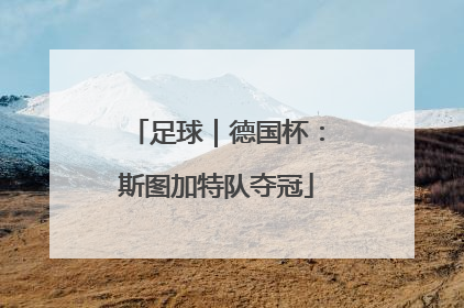 足球｜德国杯：斯图加特队夺冠