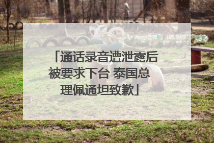 通话录音遭泄露后被要求下台 泰国总理佩通坦致歉
