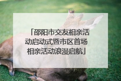 邵阳市交友相亲活动启动式暨市区首场相亲活动浪漫启航