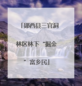 郧西县三官洞林区林下“掘金”富乡民