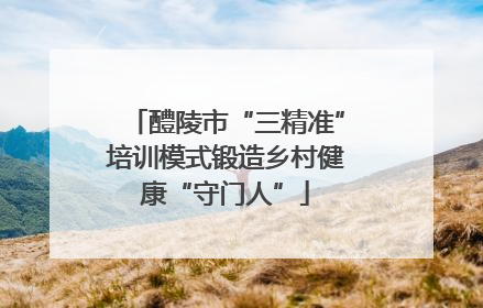 醴陵市“三精准”培训模式锻造乡村健康“守门人”