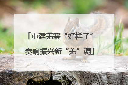 重建羌寨“好样子” 奏响振兴新“羌”调