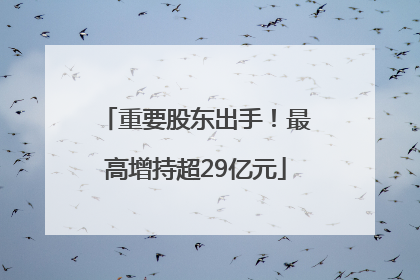 重要股东出手！最高增持超29亿元