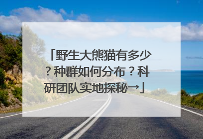 野生大熊猫有多少？种群如何分布？科研团队实地探秘→