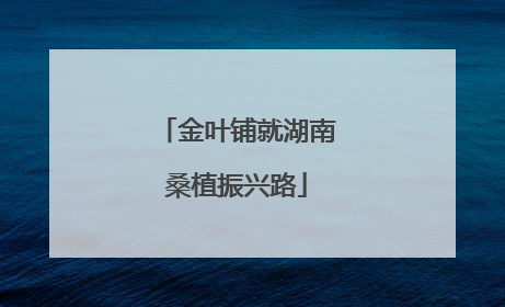 金叶铺就湖南桑植振兴路
