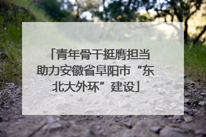 青年骨干挺膺担当 助力安徽省阜阳市“东北大外环”建设