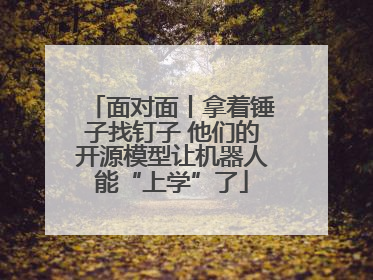 面对面丨拿着锤子找钉子 他们的开源模型让机器人能“上学”了