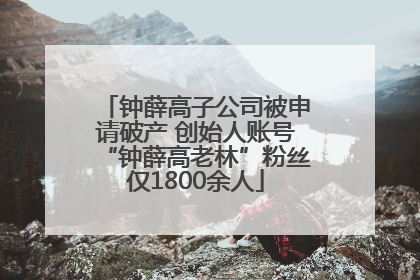 钟薛高子公司被申请破产 创始人账号“钟薛高老林”粉丝仅1800余人