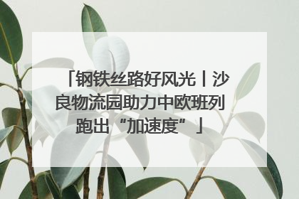 钢铁丝路好风光丨沙良物流园助力中欧班列跑出“加速度”