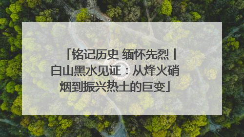 铭记历史 缅怀先烈丨白山黑水见证：从烽火硝烟到振兴热土的巨变