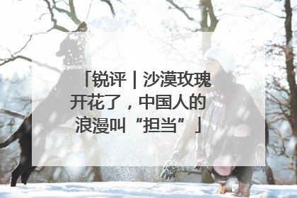 锐评｜沙漠玫瑰开花了，中国人的浪漫叫“担当”