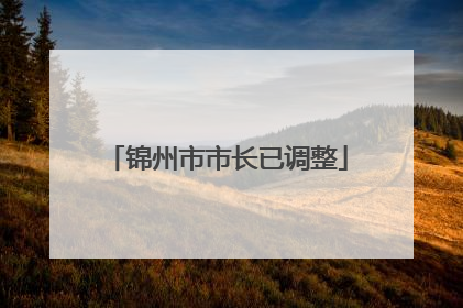 锦州市市长已调整