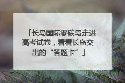 长岛国际零碳岛走进高考试卷，看看长岛交出的“答题卡”