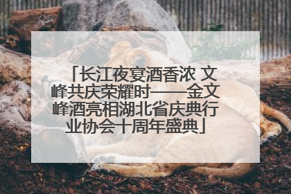 长江夜宴酒香浓 文峰共庆荣耀时——金文峰酒亮相湖北省庆典行业协会十周年盛典