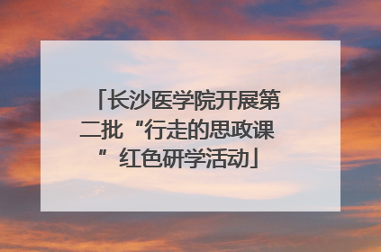 长沙医学院开展第二批“行走的思政课”红色研学活动