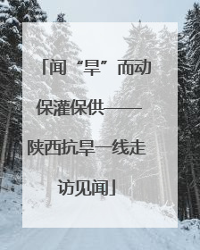 闻“旱”而动 保灌保供——陕西抗旱一线走访见闻