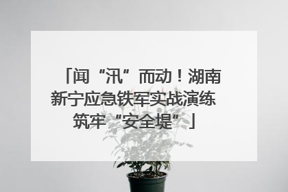 闻“汛”而动！湖南新宁应急铁军实战演练筑牢“安全堤”
