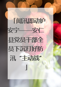 闻汛即动护安宁——安仁县党员干部全员下沉打好防汛“主动战”