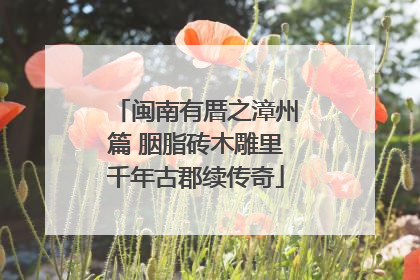 闽南有厝之漳州篇 胭脂砖木雕里千年古郡续传奇
